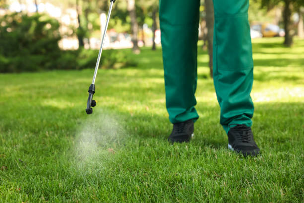 Best Residential Pest Control  in Pearisburg, VA
