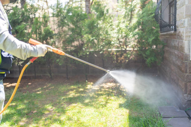Insect Control in Pearisburg, VA