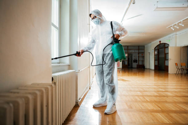 Best Termite Control Services  in Pearisburg, VA