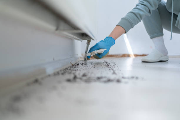 Best Pest Control for Homes  in Pearisburg, VA
