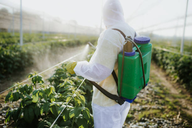 Best Affordable Pest Control Services  in Pearisburg, VA